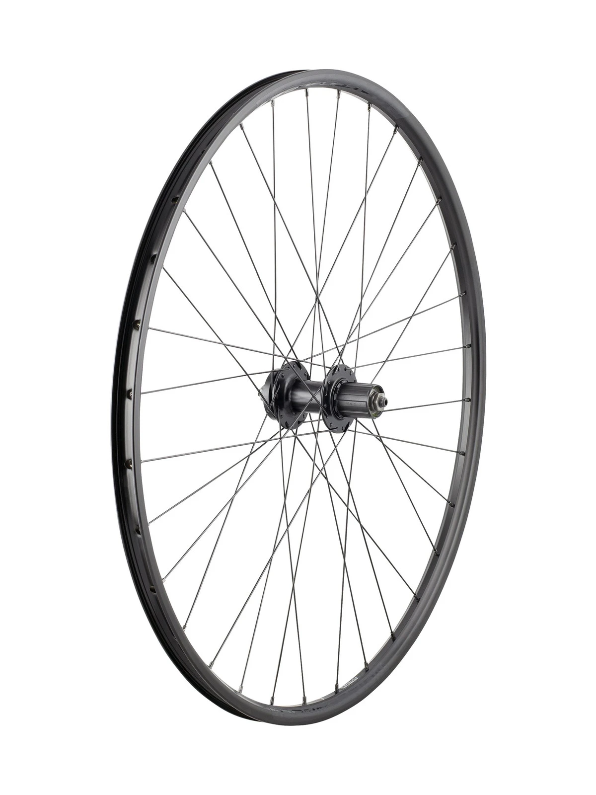 bikeplanet20261022132506345716