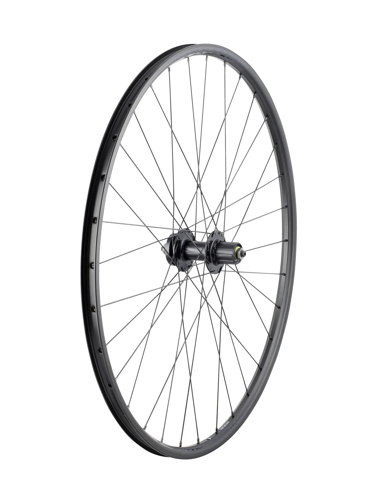 bikeplanet20261022134252349301