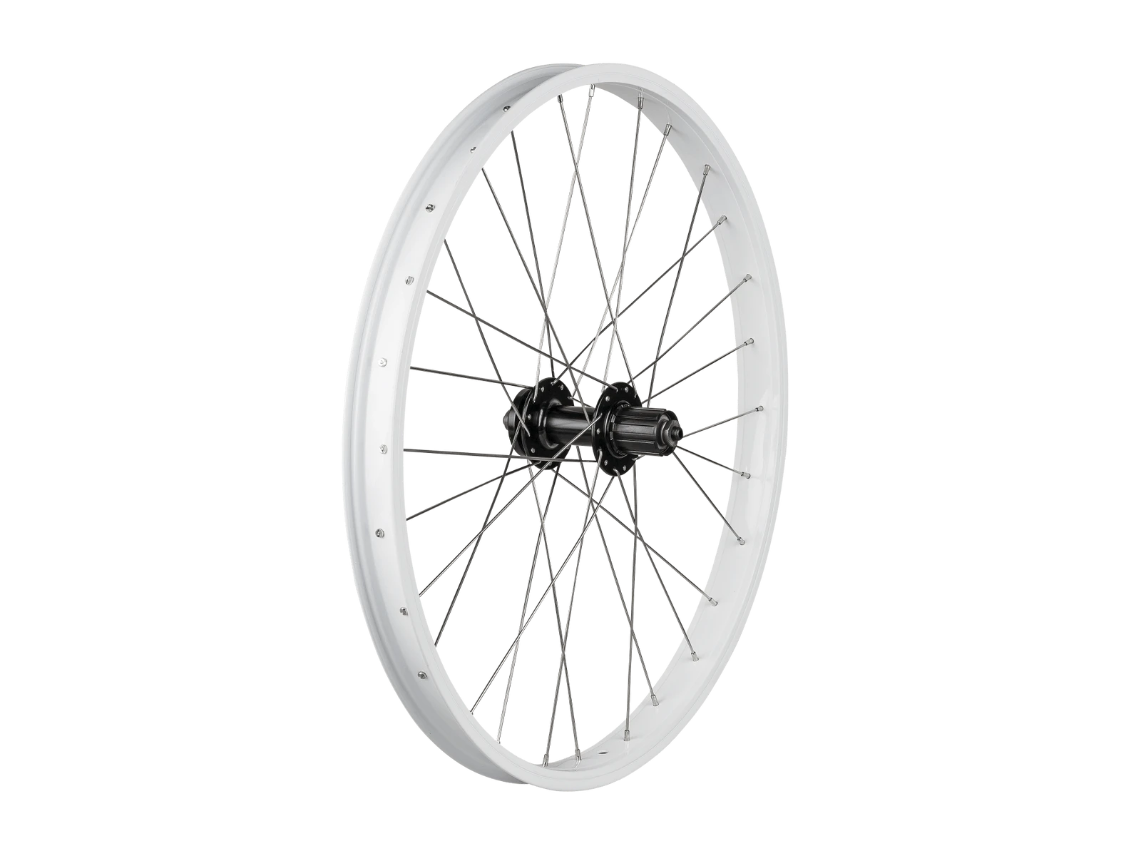 bikeplanet20261022134752350362