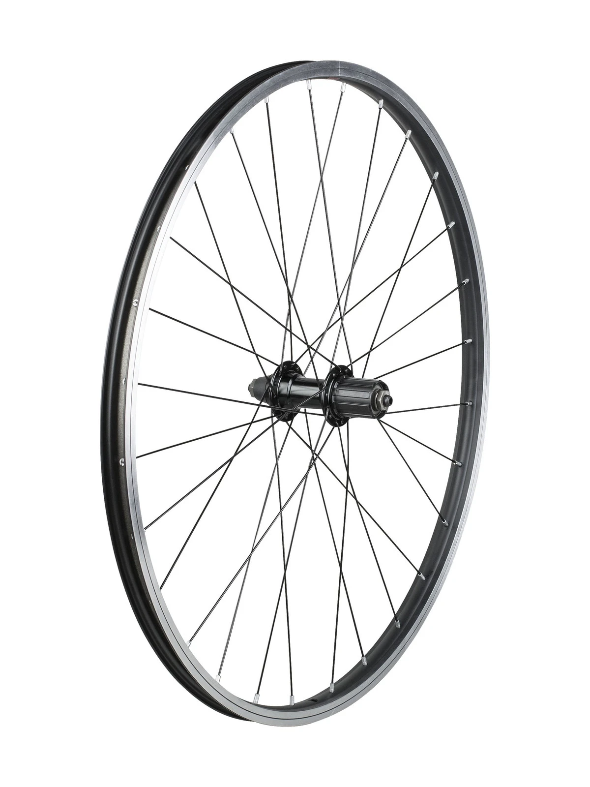 bikeplanet20261022140436353766