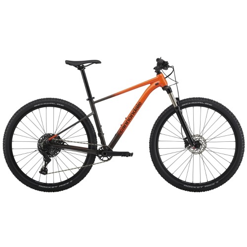 e-velomania20261022144319360966