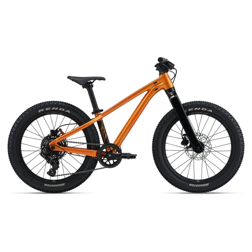 e-velomania20261022201610426818