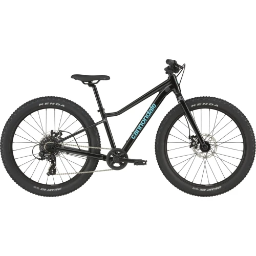 e-velomania20261022202604428563
