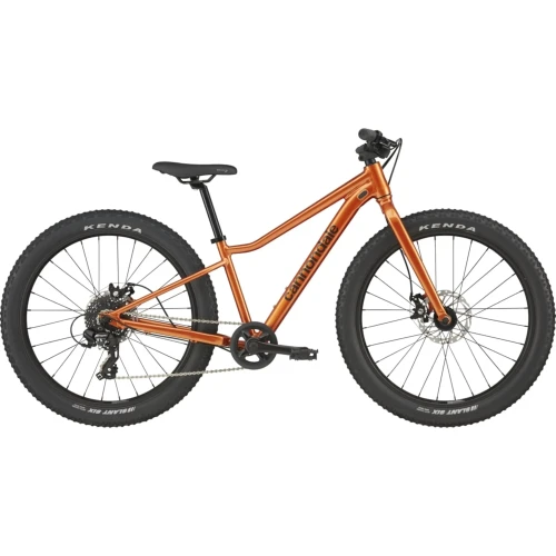 e-velomania20261022202604428564