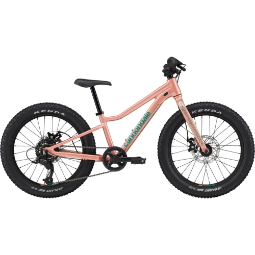 e-velomania20261022202631428646