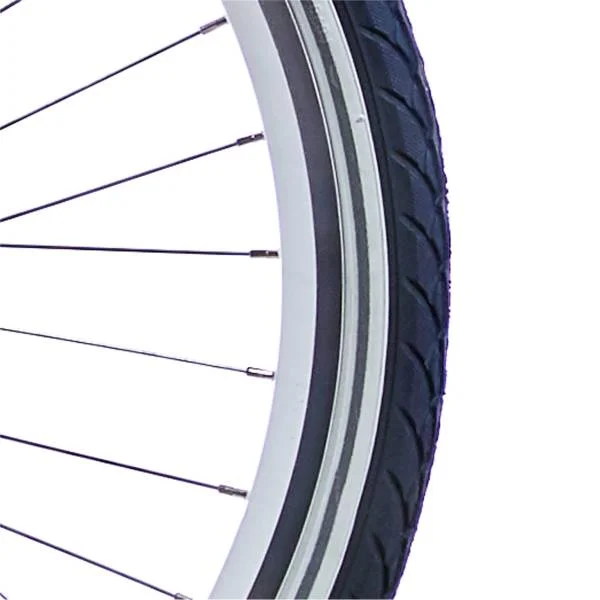 hollandbikeshop-220261022174308396904