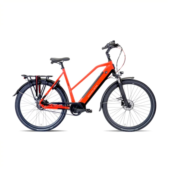 hollandbikeshop-220261023010503475572