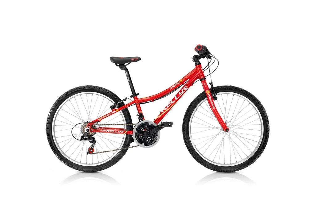 rowerzysta20261022123524336682