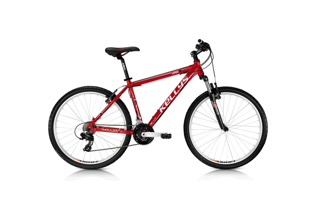 rowerzysta20261022125308339887