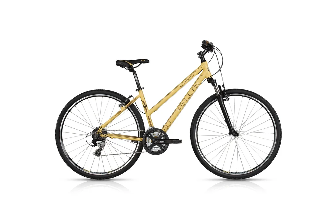 rowerzysta20261022150648365411