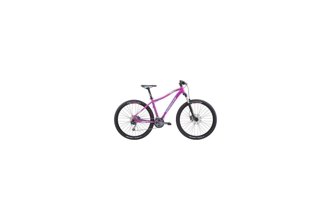rowerzysta20261022155519374731