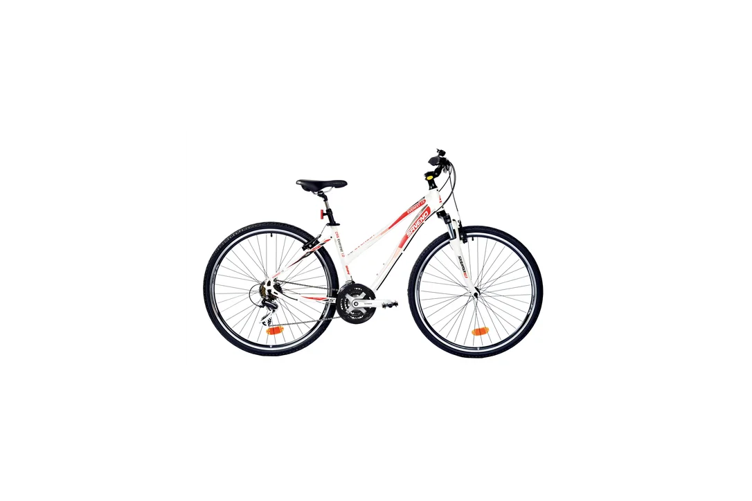 rowerzysta20261022163416382468