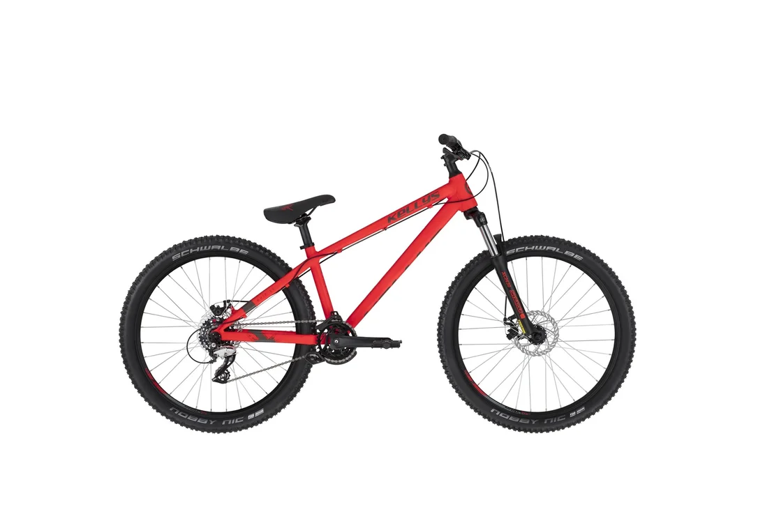 rowerzysta20261022174818398179