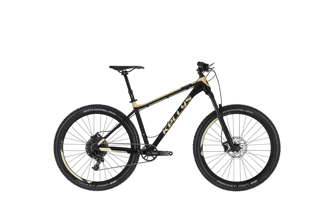 rowerzysta20261022175036398440