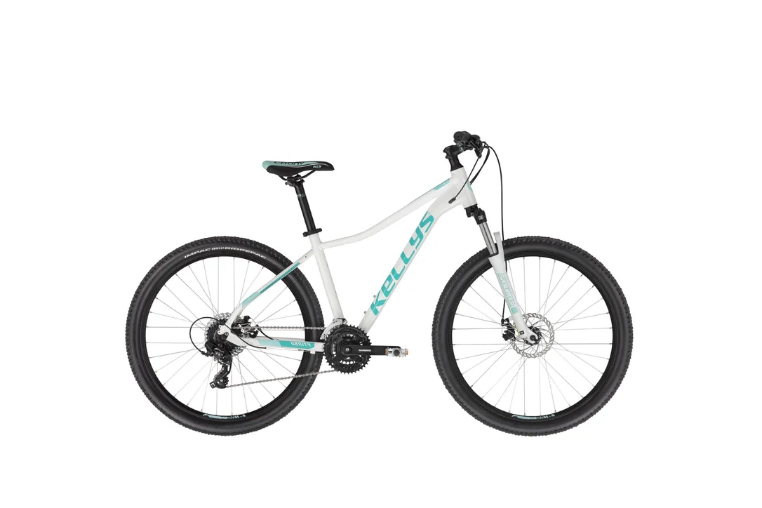 rowerzysta20261022184728409306