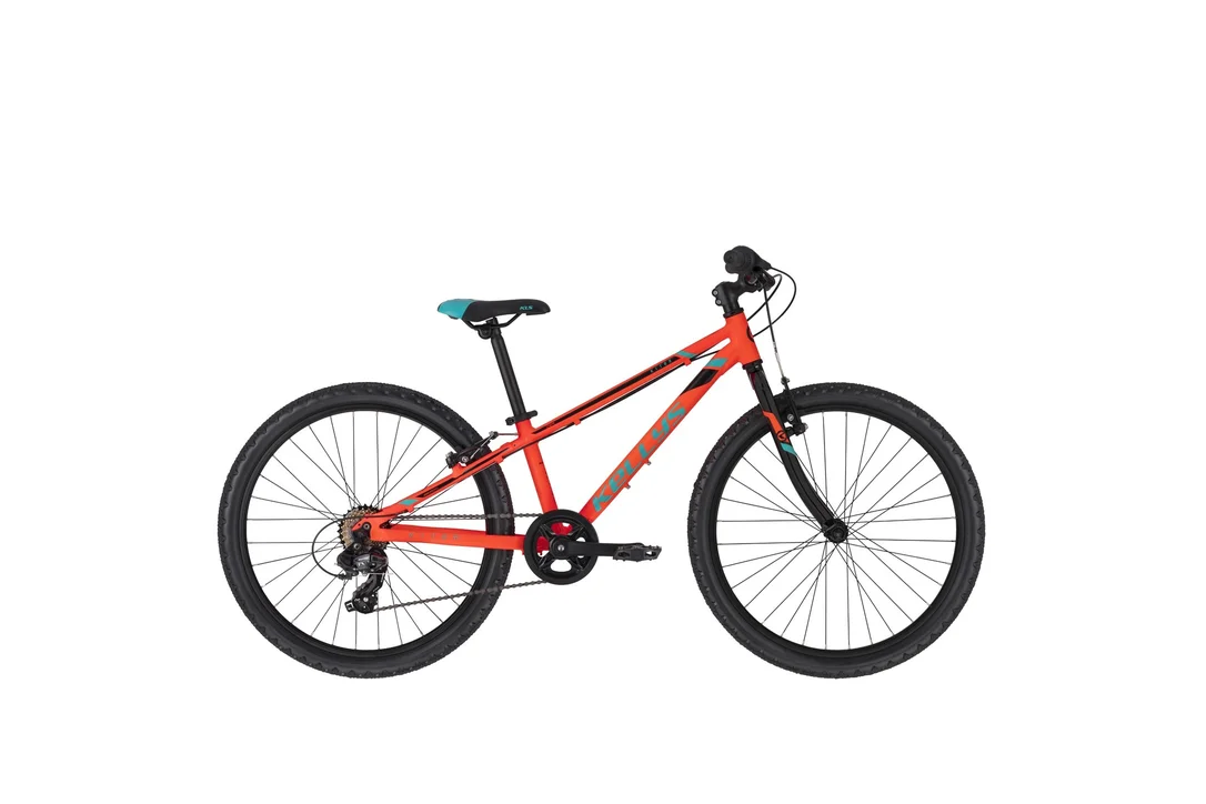 rowerzysta20261022184945409730