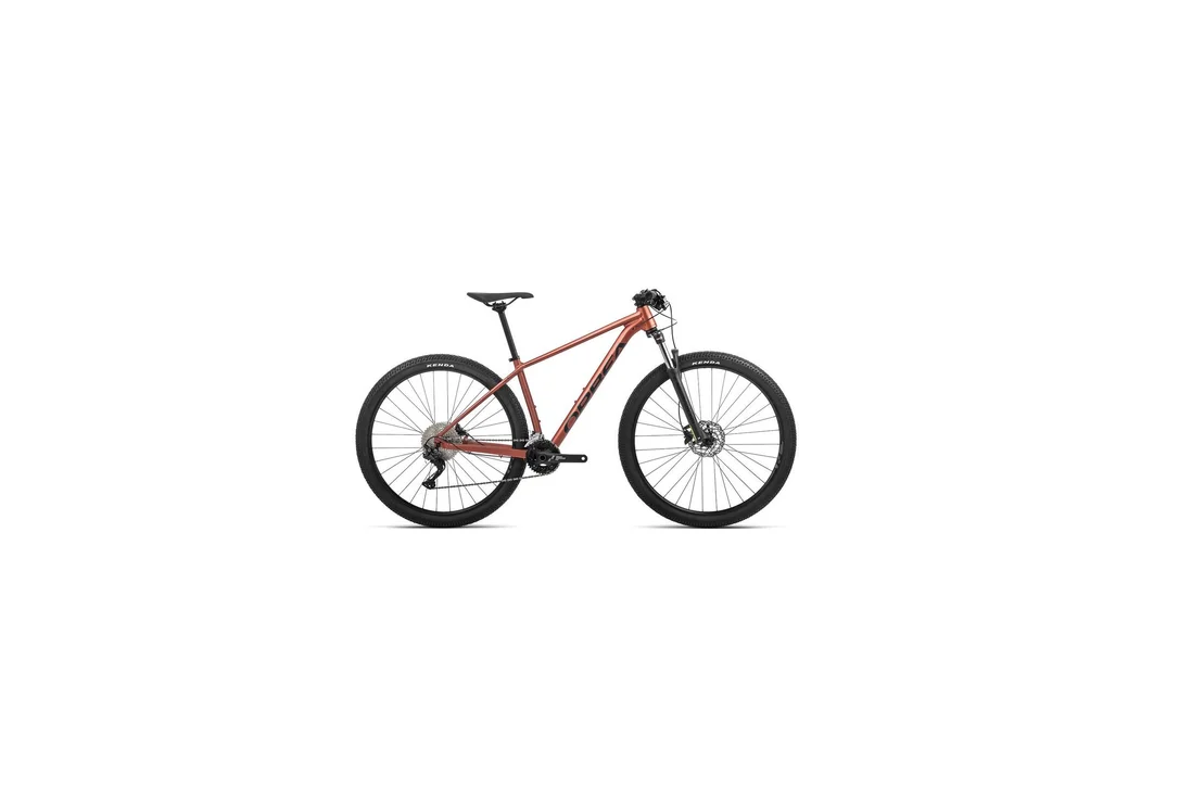 rowerzysta20261022212832440004