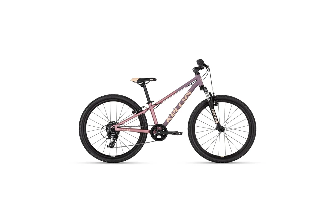 rowerzysta20261023010340475331