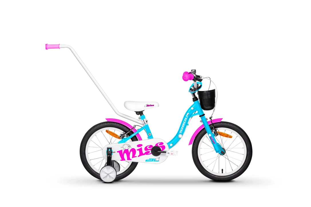 rowerzysta20261023011003476422