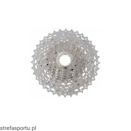 strefasportu20261022160730377281
